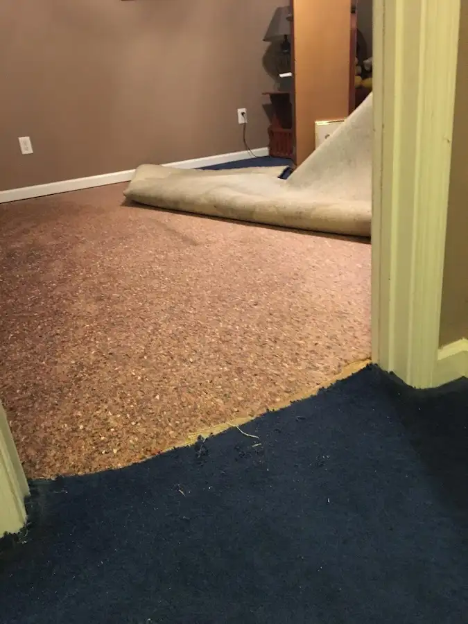 Carpet pad removal revealing water damage during Water Mitigation Services in Acushnet
